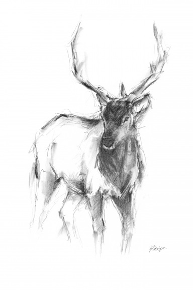 Animal Sketch Nr. 2