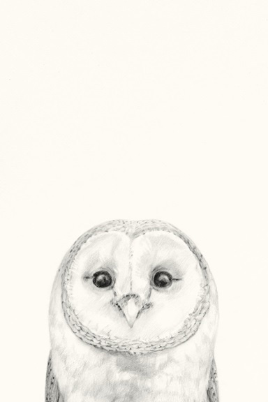 Animal Heads Nr. 3 - Barn Owl
