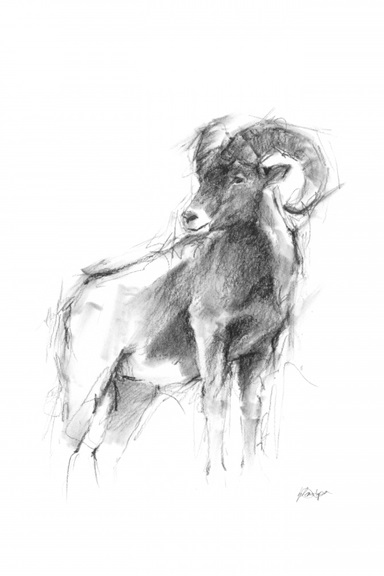 Animal Sketch Nr. 3
