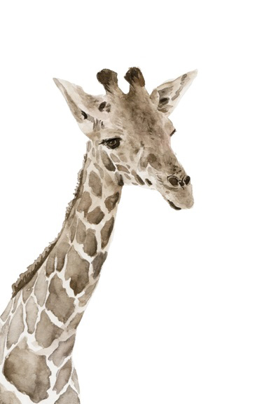 Animal Babies Nr. 2 - Giraffe