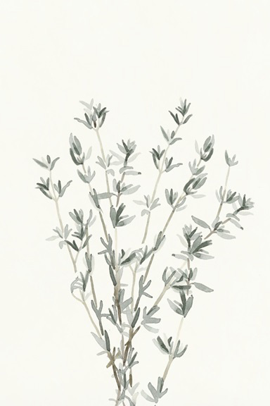 Delicate Herbs Nr. 2