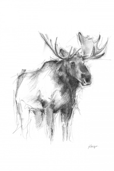 Animal Sketch Nr. 4