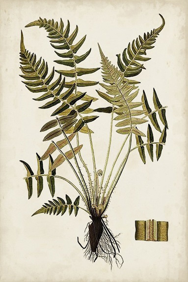 Botanical Samples Nr. 3