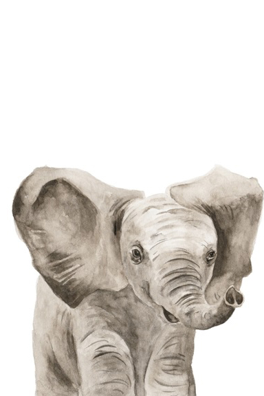 Animal Babies Nr. 3 - Elephant